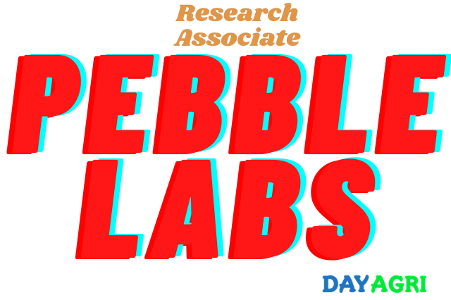 Research Associate Pebble Labs Inc. Los Alamos, NM