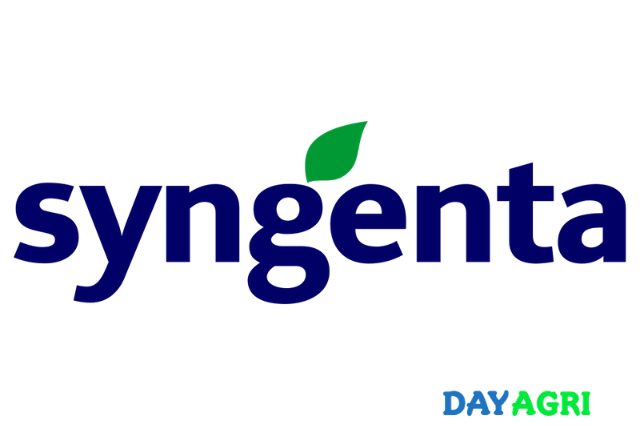 Golden Harvest Seed Sales Representative Syngenta Minnesota