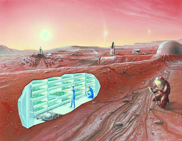 Is it possible to grow plants on Mars
