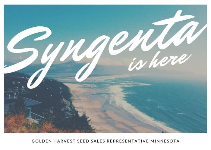 Syngenta Golden Harvest Seed Sales Representative Minnesota
