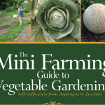 mini-agriculture-guide-for-vegetable-gardening/