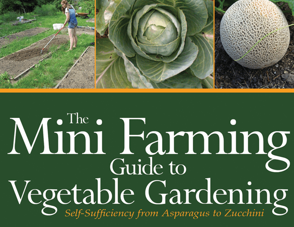 Mini Agriculture Guide for Vegetable Gardening