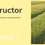 Instructor-Agricultural-and-Extension-Organizational-Development