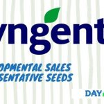 Syngenta Developmental Sales Representative Seeds