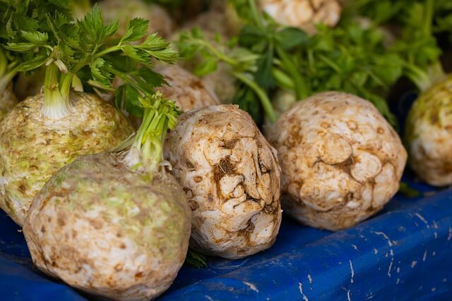 CELERIAC