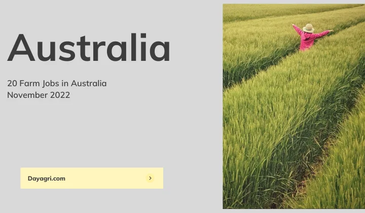 20 Farm Jobs in Australia November 2022