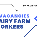 5 Vacancies Dairy Farm Workers United Kingdom