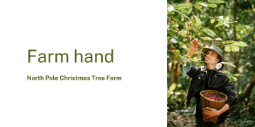 Farm hand North Pole Christmas Tree Farm