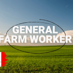 General Farm Worker $15.50 an hour Harvest and Seasonal Work Opportunities