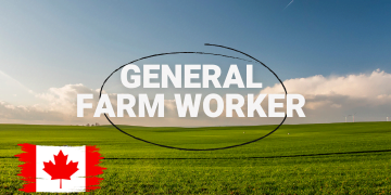General Farm Worker $15.50 an hour Harvest and Seasonal Work Opportunities