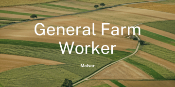 General Farm Worker Malvar Philippines