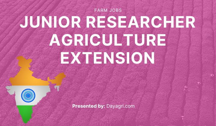 Junior Researcher Agriculture Extension India 