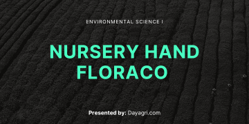 Nursery-Hand-Floraco-Pty-Ltd-Forrestdale-Perth-WA