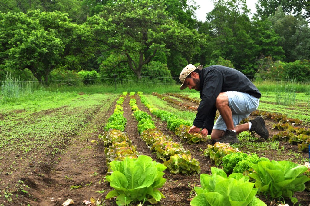 farm at hand login and hands free farm
