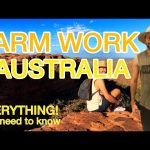 Farm Jobs in Australia: dayagri and Nicejob is a great resource for finding job postings on LinkedIn. They have a search bar on their home page that makes it easy to find job postings that match your search criteria. Poultry Farmer,Fruit & Vegetable Farmer,Meat Farmer