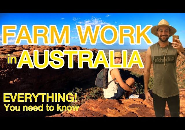 5 Ways Farm Jobs in Australia Could Change Your Life
