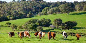 Super Seasons Company Needs Farm Hand Workers