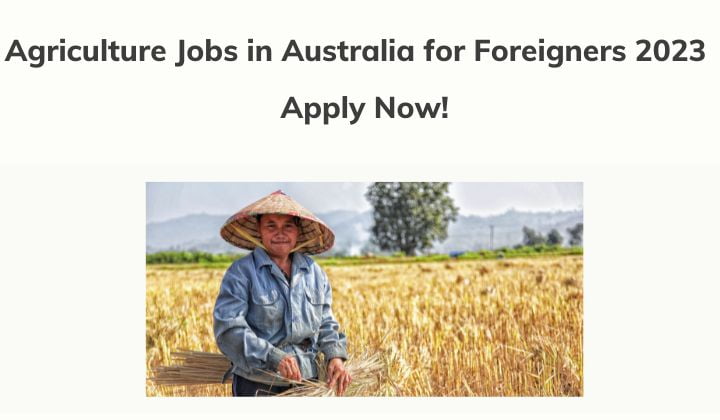  Agriculture Jobs In Australia For Foreigners 2023