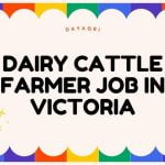 Dairy Cattle Farmer jobs in Australia. Find the best precision agriculture technician, farm army jobs in Australia