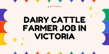 Dairy Cattle Farmer jobs in Australia. Find the best precision agriculture technician, farm army jobs in Australia