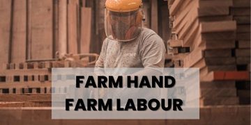 Farm Hand Farm Labour australia jobs farming agriculture