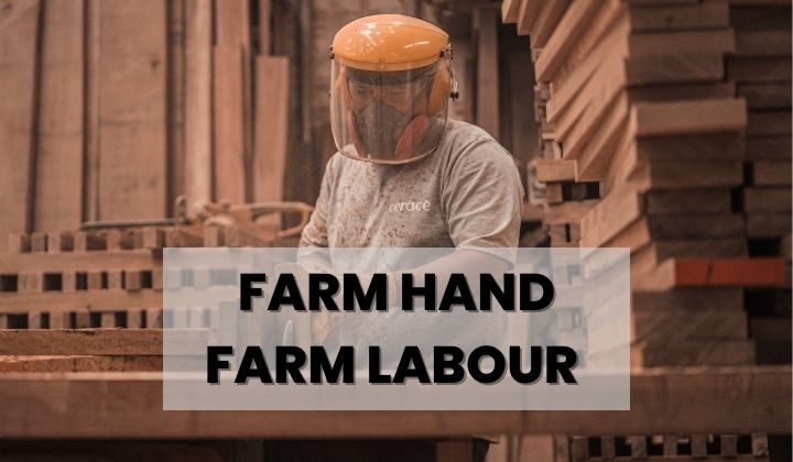 Farm Hand Farm Labour  australia jobs farming agriculture