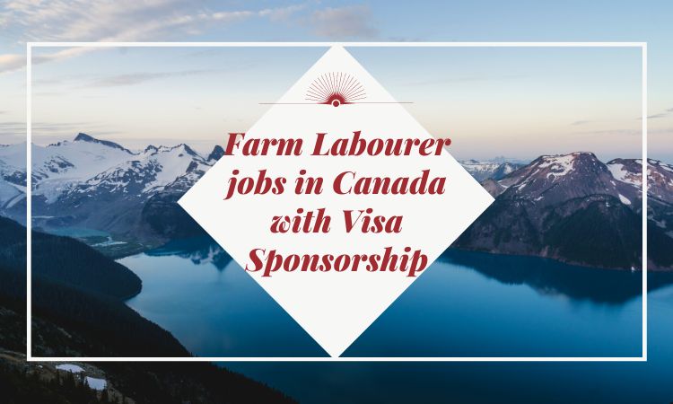 General Farm Labourer in Canada with Visa Sponsorship Full Time job, General Farm Labourer in Hanover, ON Canada