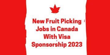 In Canada, there are a lot of fruit and vegetable picking jobs available,The fruit and vegetable picking jobs in Canada with visa sponsorship