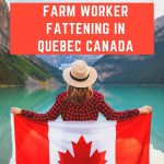 Farm Worker Fattening in Quebec Canada In Quebec, Canada, there is a farm worker called the "Fattening". Farm Jobs in Canada