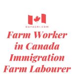 Farm Worker in Canada Immigration Farm Labourer