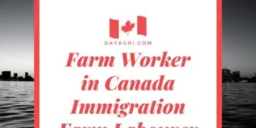 looking for a Farm Worker to join our team in Canada Immigration Farm Labourer. successful candidate must have excellent physical and stamina