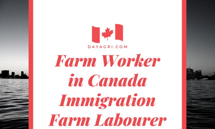 looking for a Farm Worker to join our team in Canada Immigration Farm Labourer. successful candidate must have excellent physical and stamina