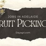 Fruit Picking Jobs in Adelaide: Pickers Premier Fresh Australia Adelaide SA; Check all our fruit picking vacancies in Adelaide Apply Now!