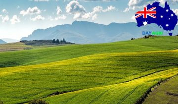 When you are ready to work in Australia, you'll need to apply for an Agriculture Visa in Australia and farm safe australia.and you need a migration agent for a sponsor licence to autralia immigration consultant
