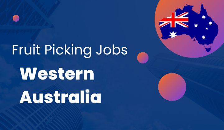 Fruit Picking Jobs in Western Australia