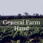 General Farm Hand Job in Australia: This is a great opportunity for someone looking to enter agribusiness and work directly with farmers to gain skills and experience. The role is scheduled to begin in early 2023 on a small family-run 3,700-hectare arable farm in Cascades, Western Australia (130km northwest of Esperance). Provide accommodation.