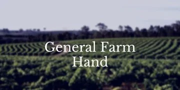General Farm Hand Job in Australia: This is a great opportunity for someone looking to enter agribusiness and work directly with farmers to gain skills and experience. The role is scheduled to begin in early 2023 on a small family-run 3,700-hectare arable farm in Cascades, Western Australia (130km northwest of Esperance). Provide accommodation.