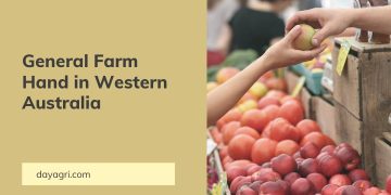 General Farm Hand is a business which primarily provides agricultural services to the Western Australian farming community.