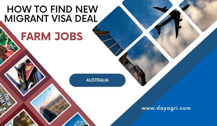 How to Find New Migrant Visa Deal for Farm Jobs in Australia