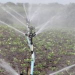 irrigation contractor or commercial irrigation is an irrigation job is an essential job because it helps to provide the plants and crops with the necessary water they need to grow. we have northern irrigation, longhorn irrigation, county line irrigation, and site one irrigation