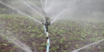 irrigation contractor or commercial irrigation is an irrigation job is an essential job because it helps to provide the plants and crops with the necessary water they need to grow. we have northern irrigation, longhorn irrigation, county line irrigation, and site one irrigation