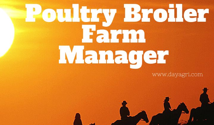 Poultry Broiler Farm Manager currently have a number of opportunities for Farm Managers to join their teams in Western Australia