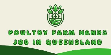 Looking for a job in Australia? Look no further than Poultry Farm Hands. We have a range of farm job opportunities in Killarney, Australia.