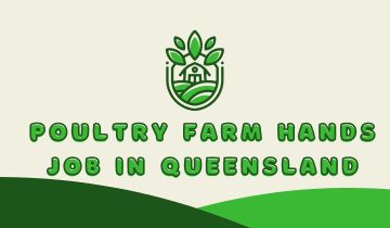 Looking for a job in Australia? Look no further than Poultry Farm Hands. We have a range of farm job opportunities in Killarney, Australia.