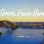 Senior Farm Hand jobs in Australia. silver fern farms jobs, Find the best Senior Farm Hand jobs, farm jobs in Australia