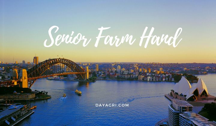 Senior Farm Hand jobs in Australia. silver fern farms jobs, Find the best Senior Farm Hand jobs, farm jobs in Australia