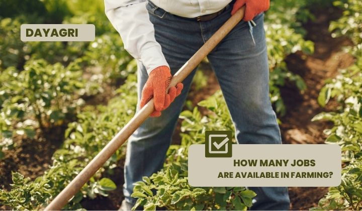 The Future of Agriculture: How Many Jobs Are Available in Farming?