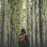 Farming Outdoor Jobs USA