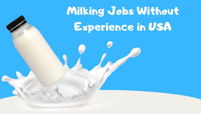 Milking Jobs Without Experience in USA