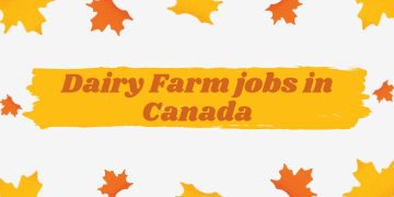 Dairy Farm jobs in Canada